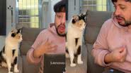 Reprodução/TikTok @daviniciu