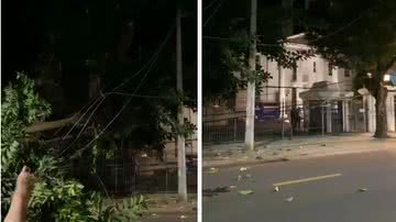Reprodução