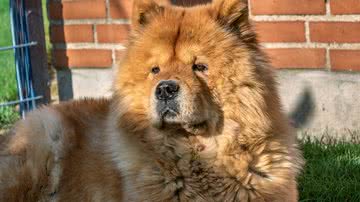 Marius Kristensen por Pixabay