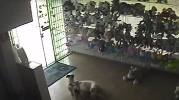 Reprodução/Câmeras de Segurança