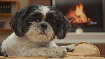 Foto Ilustrativa/Pixabay