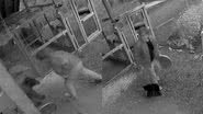 Imagem Tutor se arrisca e dá tapa em urso para salvar cachorro de estimação; assista