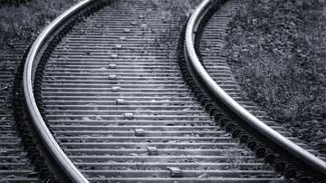 Divulgação / Tom - Pixabay