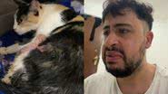 Reprodução/TikTok @daviniciu