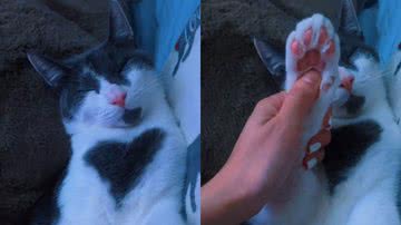 Reprodução/TikTok @kaanade