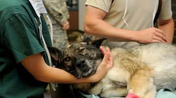 Ilustrativa / Pixabay