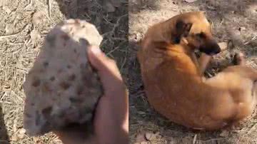 Reprodução/TikTok @divers10dez/