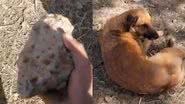 Reprodução/TikTok @divers10dez/