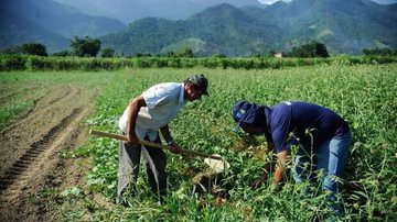 Tomaz Silva/Agência Brasil