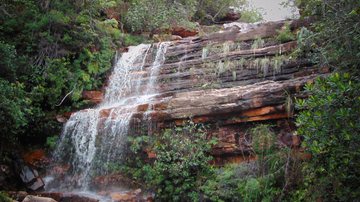 Divilgação Wikiparque.org