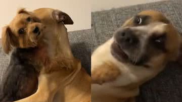 Reprodução/TikTok @bibimoraess