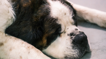 Ilustrativa / Pixabay