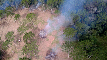 Divulgação/Instituto Água e Terra