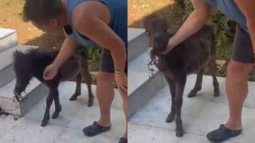 Reprodução/Redes Sociais