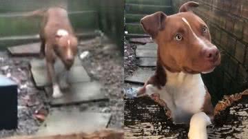 Reprodução/TikTok @maanu_u