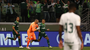 Cesar Greco/Palmeiras