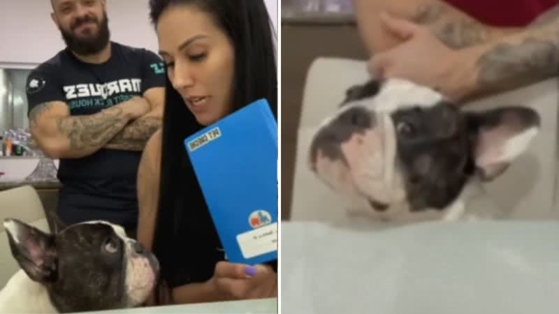 Reprodução / TikTok