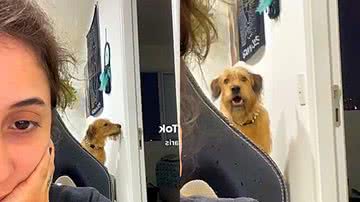 Reprodução / TikTok