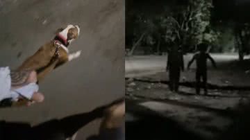 Reprodução/TikTok @guilhermearrigoni