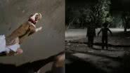 Reprodução/TikTok @guilhermearrigoni