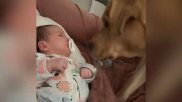 Reprodução/Instagram @petorganico