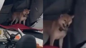 Reprodução / TikTok