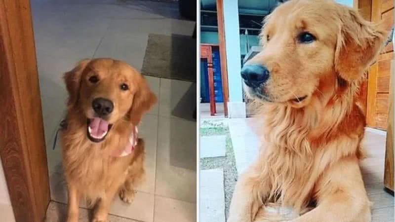 Arquivo Pessoal
