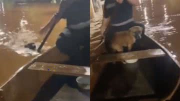 Reprodução/ Twitter