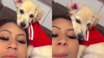 Reprodução/TikTok @belinha_viragolden