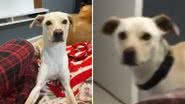 Reprodução / TikTok