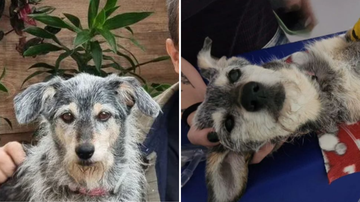 Reprodução / Instagram