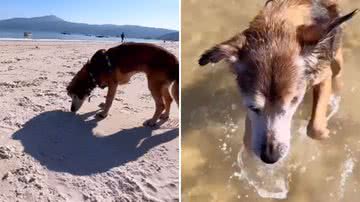 Reprodução / Instagram