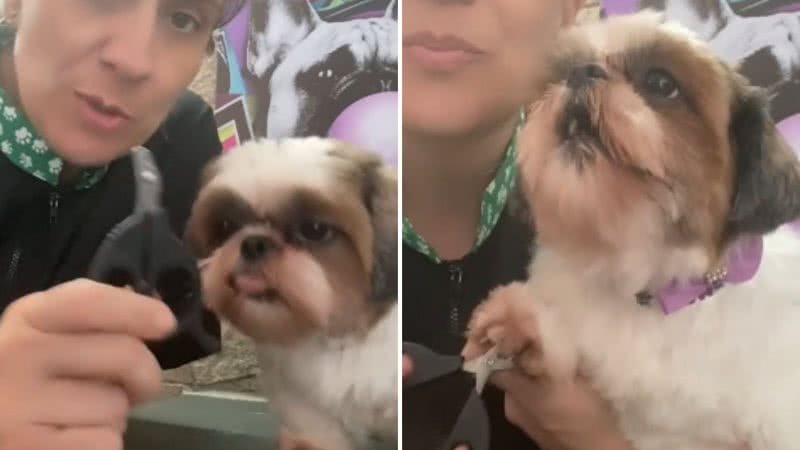 Reprodução / TikTok