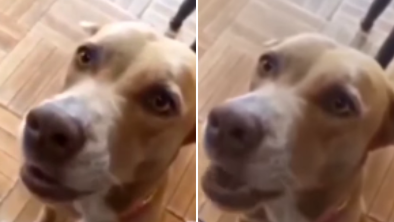 Reprodução / Instagram