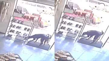 Reprodução/Redes Sociais