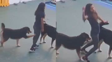 Reprodução/TikTok @tufo_e_boleta