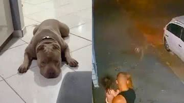 Reprodução/Redes Sociais