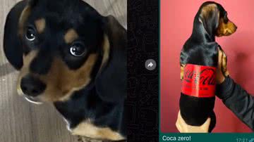 Reprodução/TikTok @plutoserrano