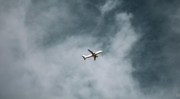 Myburgh Roux/Pexels/Reprodução