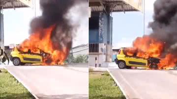 Reprodução/ Vídeo