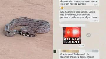 Reprodução/Redes Sociais