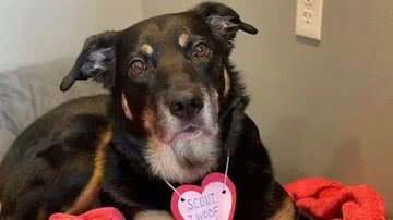 Meadow Bank Medical Care Facility / Divulgação