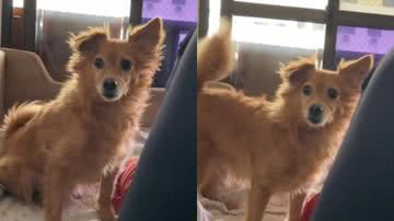 Reprodução//TikTok @anablblt