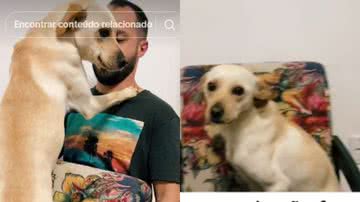 Reprodução//TikTok @nirochat