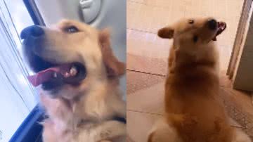 Reprodução / Instagram