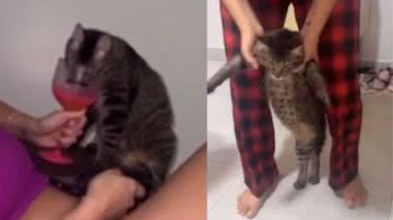 Reprodução/Instagram @elianeandradeadvogada