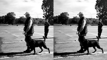 Montagem BNews/ Polícia Militar