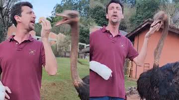 Reprodução/TikTok @marciobio