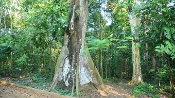 Joilson César/BNews