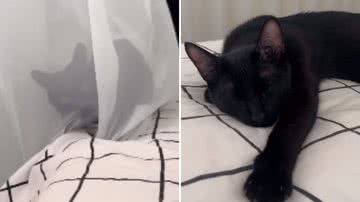 Reprodução / Instagram